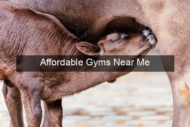 Affordable Gyms Near Me