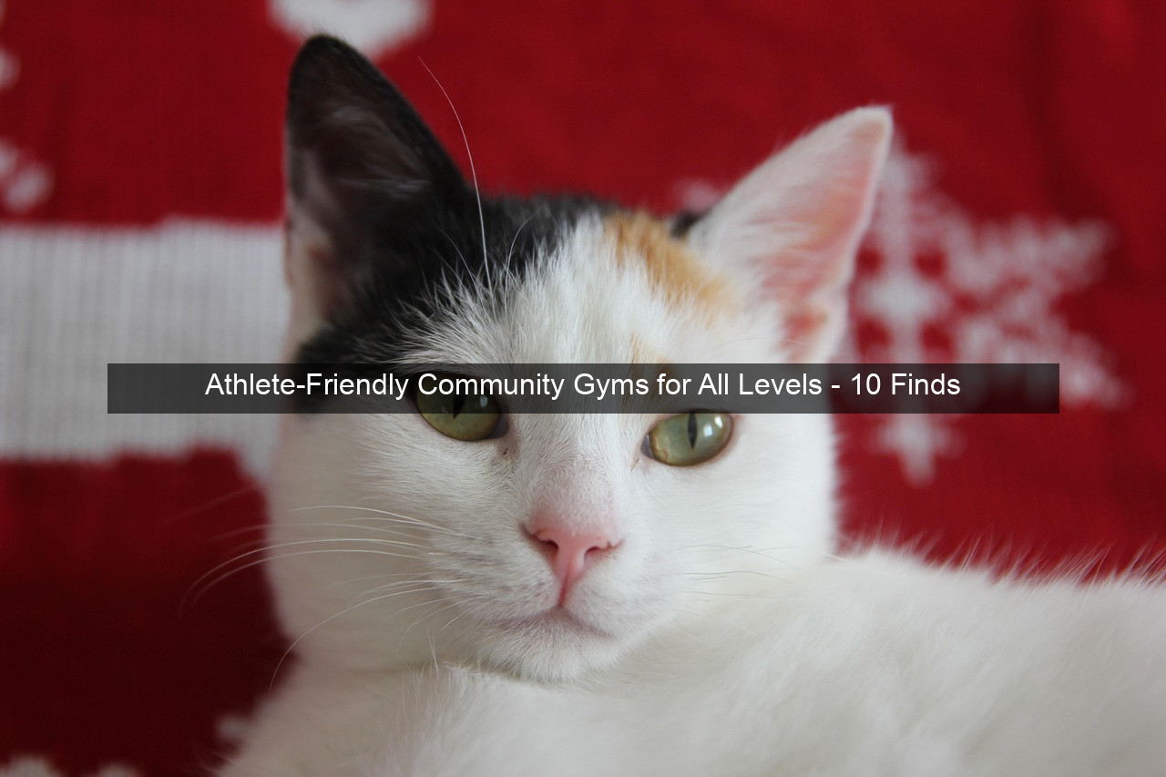 Athlete-Friendly Community Gyms for All Levels - 10 Finds