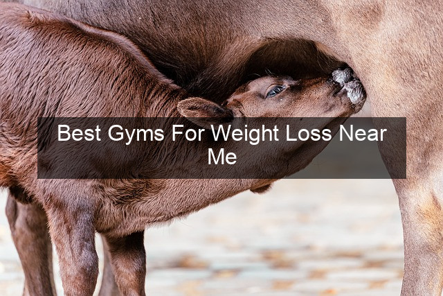 Best Gyms For Weight Loss Near Me