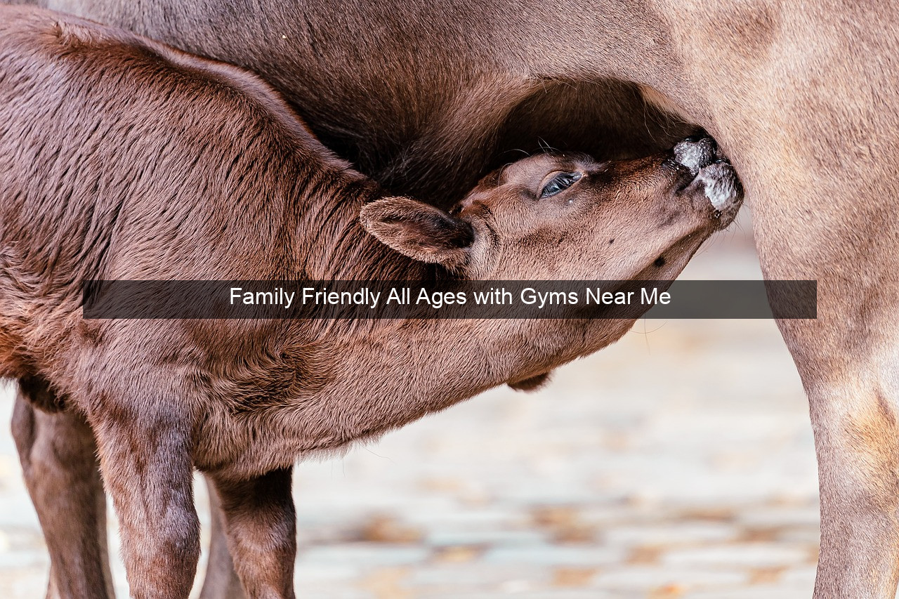 Family Friendly All Ages with Gyms Near Me