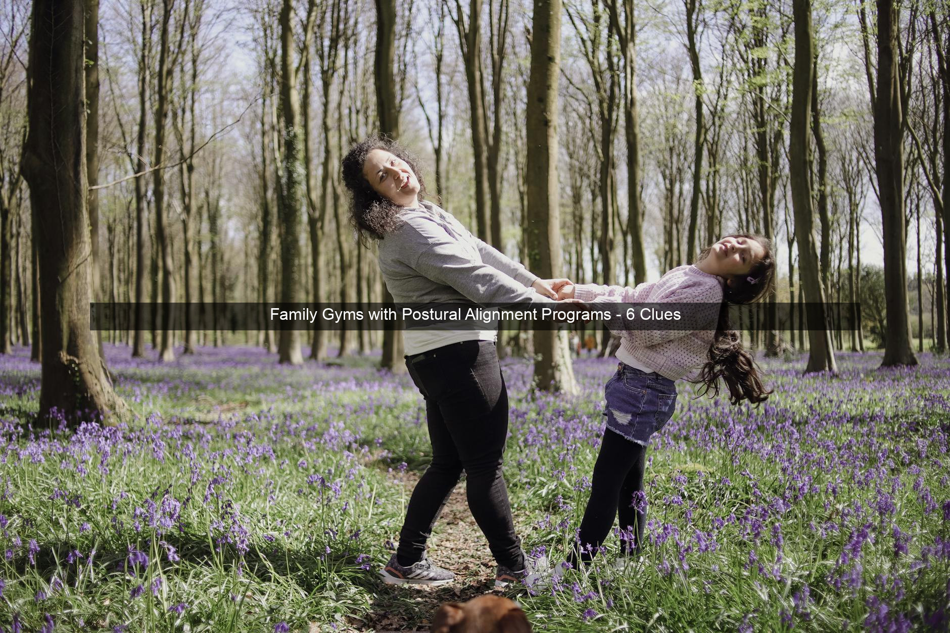 Family Gyms with Postural Alignment Programs - 6 Clues