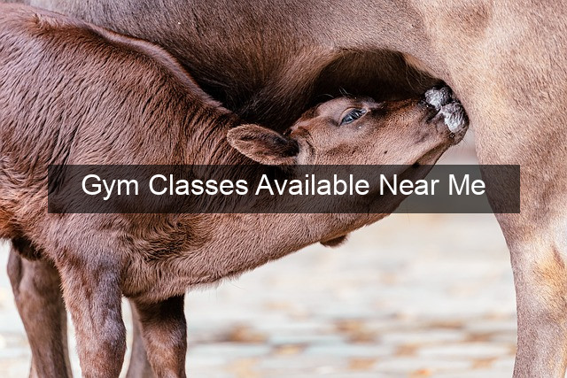 Gym Classes Available Near Me