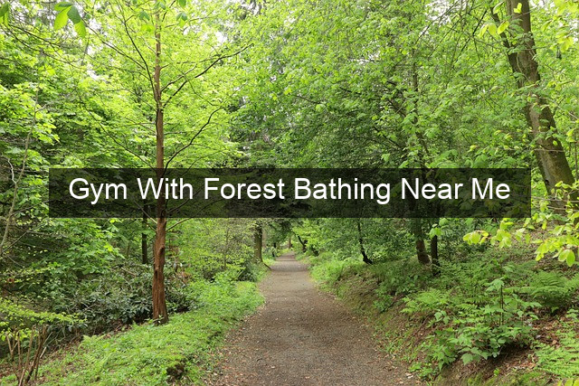 Gym With Forest Bathing Near Me