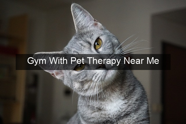 Gym With Pet Therapy Near Me