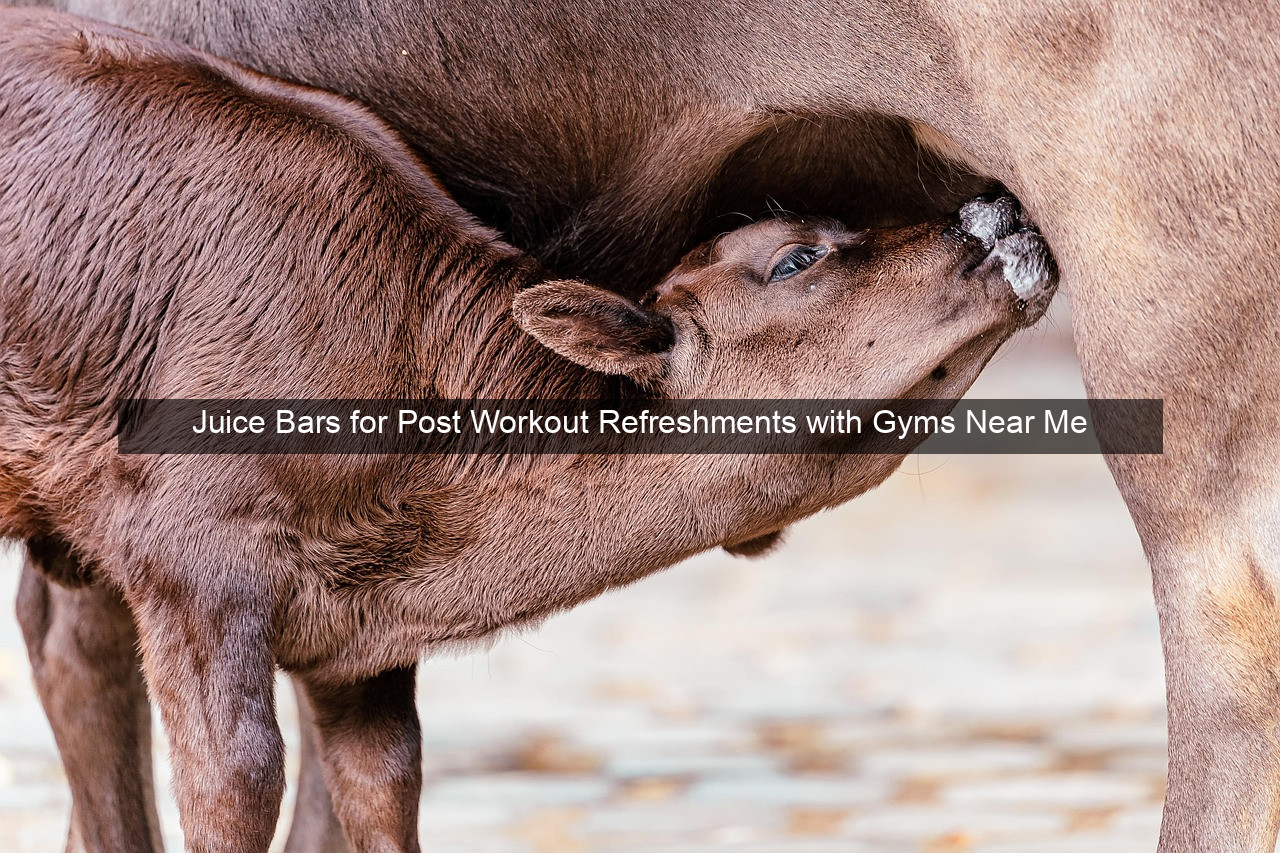 Juice Bars for Post Workout Refreshments with Gyms Near Me