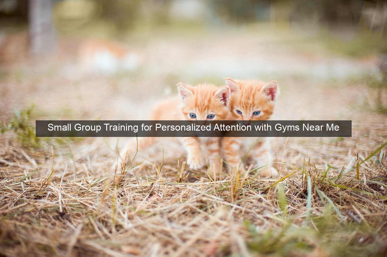 Small Group Training for Personalized Attention with Gyms Near Me