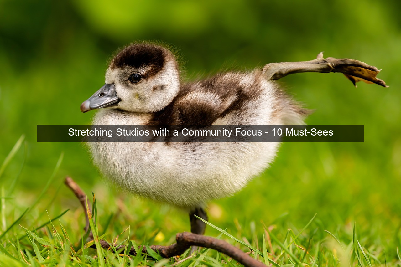 Stretching Studios with a Community Focus - 10 Must-Sees