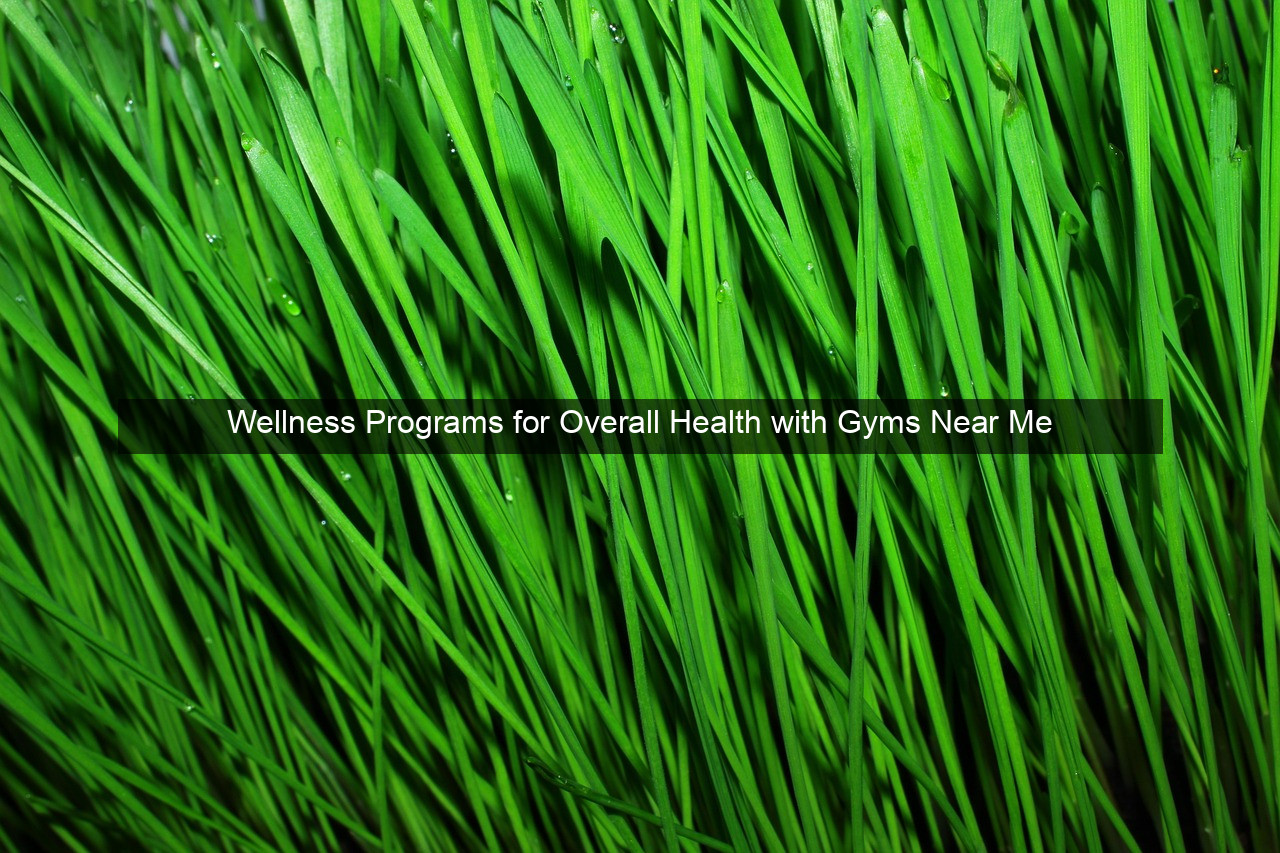 Wellness Programs for Overall Health with Gyms Near Me