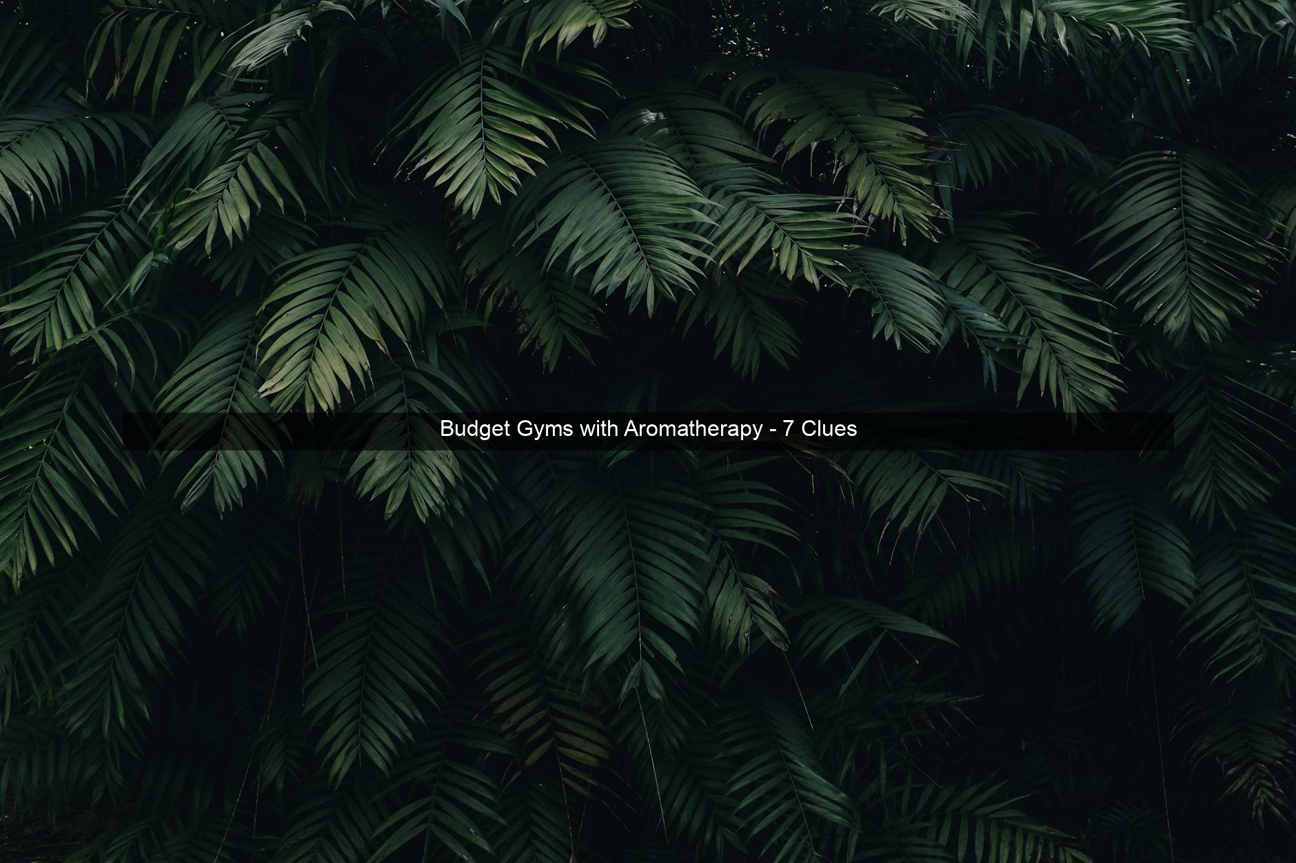 Budget Gyms with Aromatherapy - 7 Clues