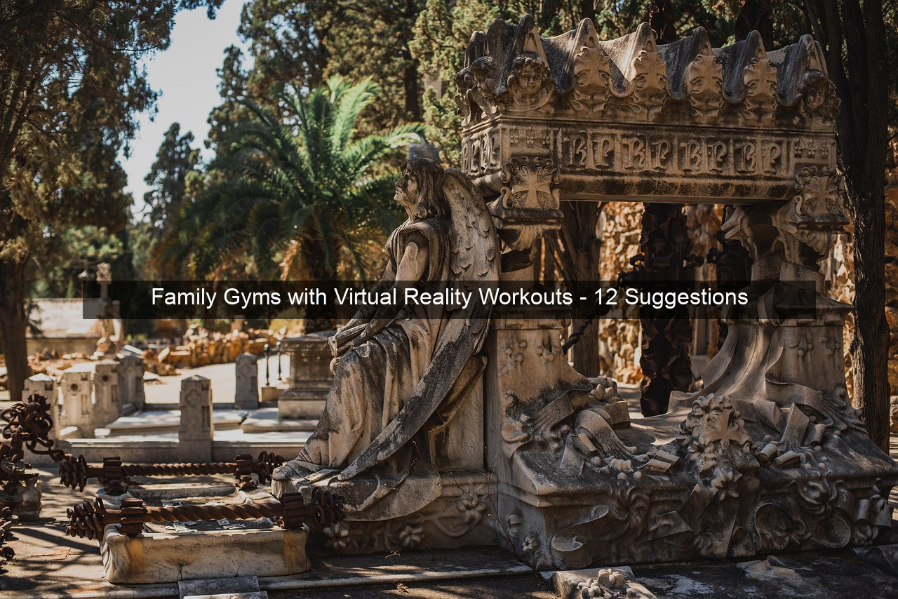 Family Gyms with Virtual Reality Workouts - 12 Suggestions